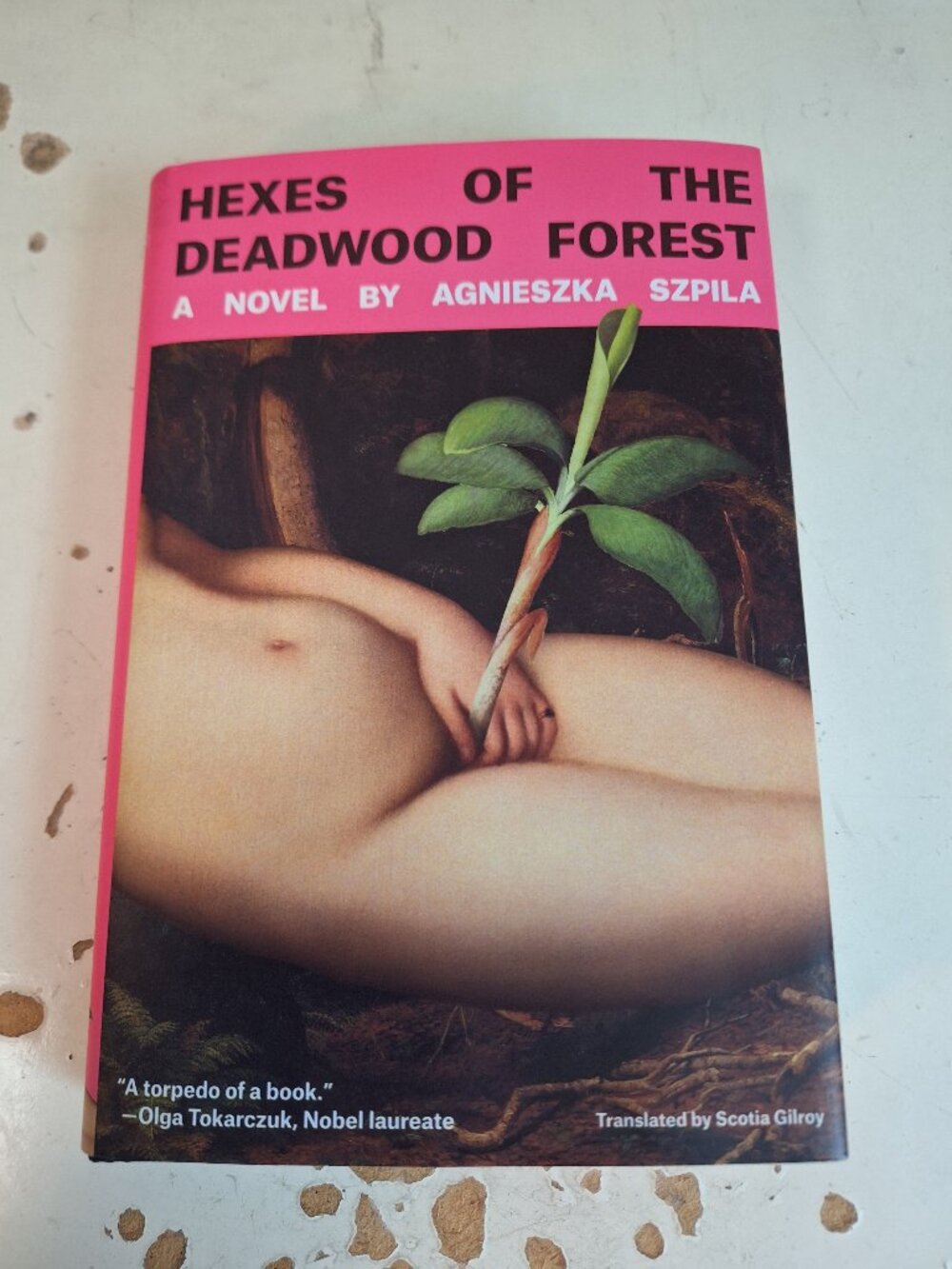 Hexes of the Deadwood Forest